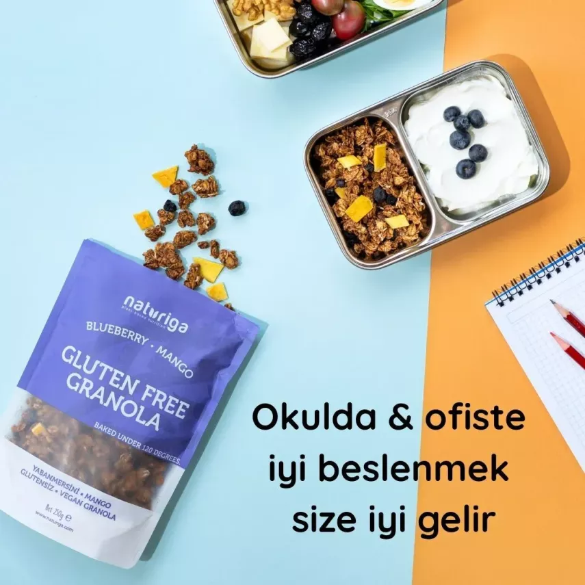 Naturiga Yaban Mersini & Mango Granola Glutensiz (250 gr) - 4