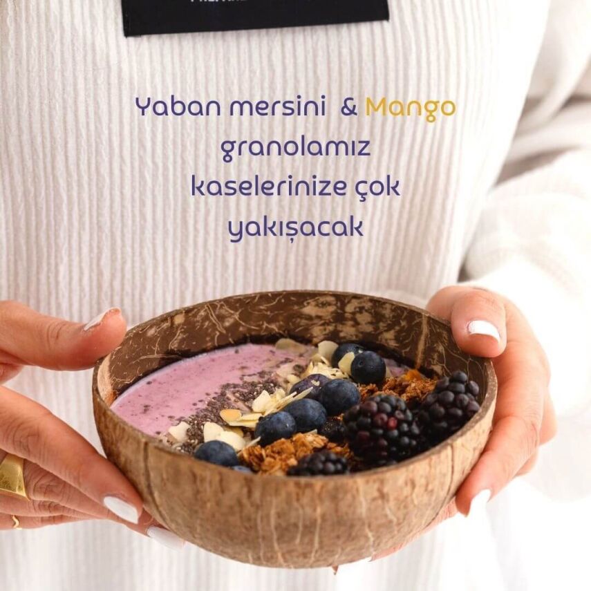 Naturiga Yaban Mersini & Mango Granola Glutensiz (250 gr) - 7