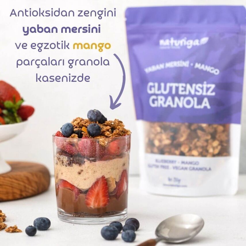 Naturiga Yaban Mersini & Mango Granola Glutensiz (250 gr) - 2