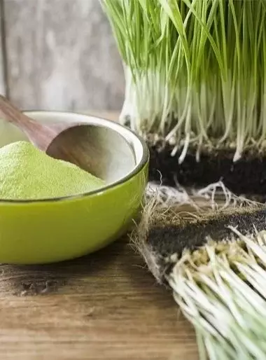 Naturiga Organik Buğday Çimi Tozu (100gr) - 5