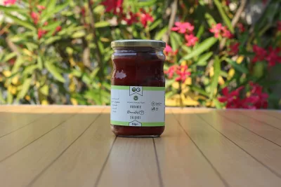 OG Natural Organik Domates Salçası (650 gr)