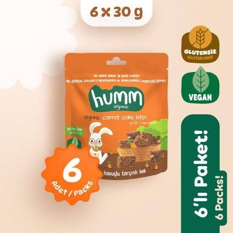 Humm Organik Havuçlu ve Tarçınlı Kek 6'lı Set - 1