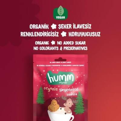 Humm Organik Zencefilli ve Tarçınlı Kurabiye Vegan (55 gr) - 3